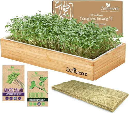 Kit de cultivo de microgreens de riego automático, la forma más fácil de cultivar microverduras frescas en casa. Incluye bandeja reutilizable,