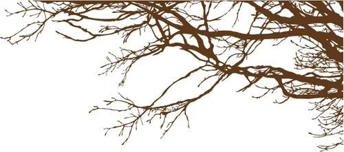 Miniatura 13 de Adhesivo decorativo para pared de árbol grande, ramas negras semi-brillantes, (21 x 50 pulgadas) de izquierda a derecha. Extraíble, no necesita