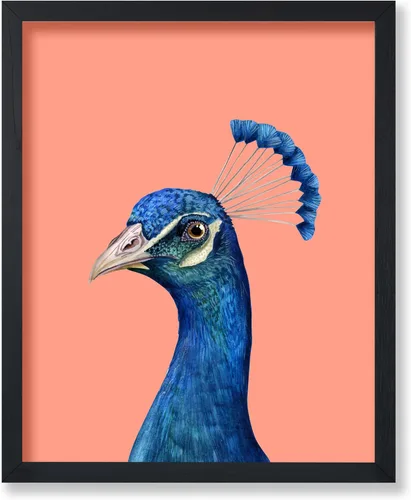 Miniatura 20 de Poster Master Vintage James Audubon Póster - Impresión Retro de Cuervo - Arte de Aves de América - Arte de Aves - Regalo para Hombres, Mujeres