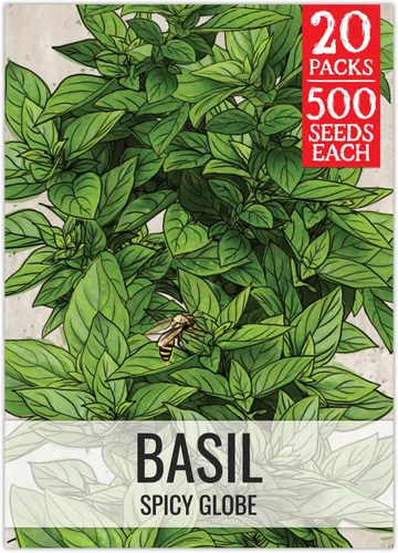 Miniatura 24 de Seed Needs Semillas de albahaca para plantar hierbas de albahaca tailandesa, sin OMG y semillas de hierbas sin tratar para cultivar un jardín