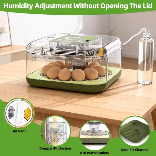 Miniatura 4 de Incubadora automática de 12 huevos – Pantalla digital de temperatura/humedad, cuenta regresiva del día de escotilla, girador automático de huevos
