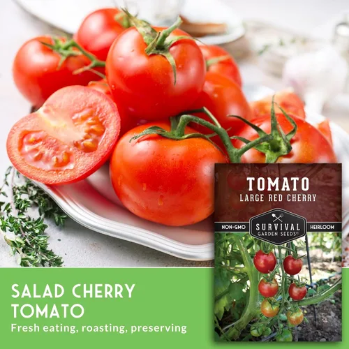 Miniatura 5 de Semillas de tomate cereza roja grandes para plantar, variedad de enredaderas indeterminadas tradicionales de alto rendimiento con fruta roja dulce