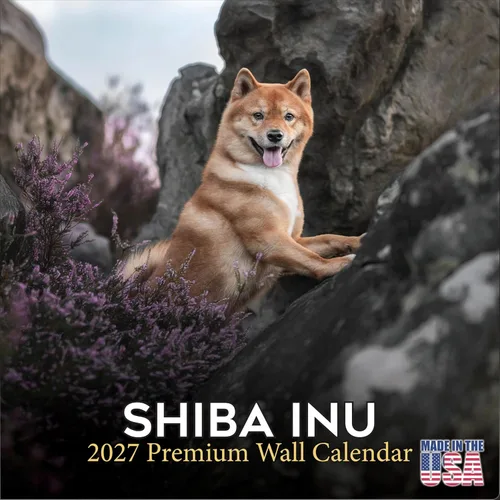Miniatura 60 de Calendario amarillo 2025 2026 de Labrador Pups – Calendario mensual de pared de raza de perro – 12" x 24" abierto – Papel grueso anti-traspaso