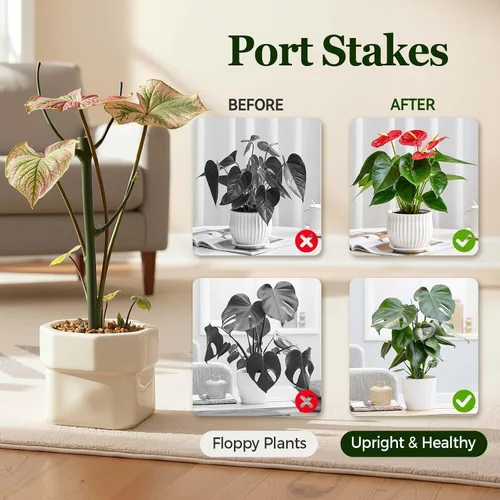 Miniatura 6 de Paquete de 10 estacas apilables Monstera para plantas, soportes ajustables para plantas pequeñas en macetas de interior, potos, filodendro, hiedra