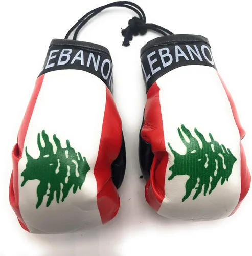 Miniatura 33 de Mini guantes de boxeo para colgar en el espejo del coche (Camerún)