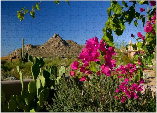 Miniatura 7 de MyPuzzle Bougainvillea with Pinnacle Peak, Scottsdale, Arizona, Estados Unidos, rompecabezas prémium de 500 piezas para adultos