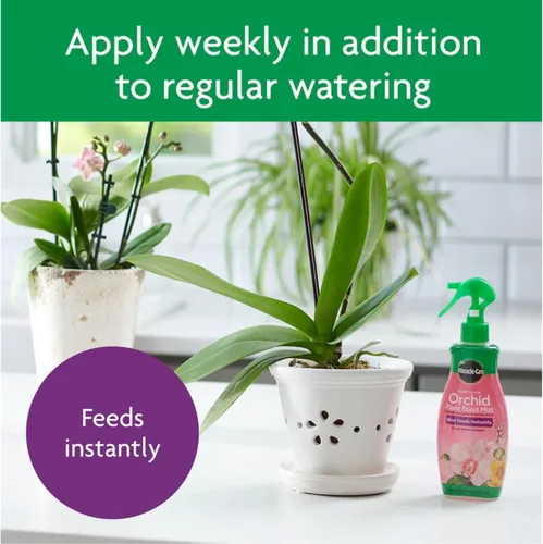Miniatura 8 de Miracle-Gro Orchid Plant Food Mist 8 onzas (paquete de 6)
