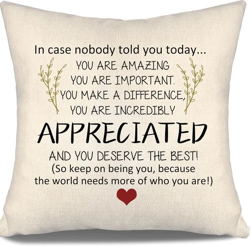 Miniatura 18 de En caso de que no lo diga lo suficiente aquí hay una almohada para recordarte que eres increíble, te aprecio, te quiero. Funda de almohada para tía