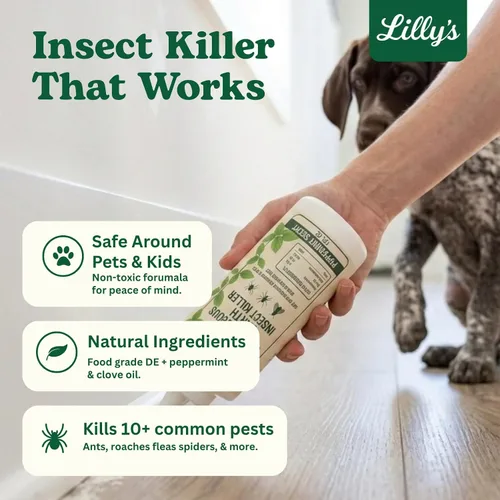 Miniatura 2 de Tierra de diatomeas de grado alimenticio con aceite de menta para insectos Polvo de control de plagas de interior para chinches, cucarachas