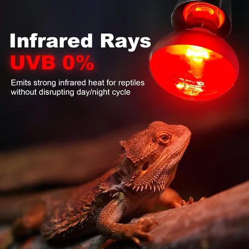 Miniatura 2 de MIXJOY Bombillas de calor infrarrojo de 100W, paquete de 2, focos de calor infrarrojo para reptiles, foco rojo de calor infrarrojo para reptiles