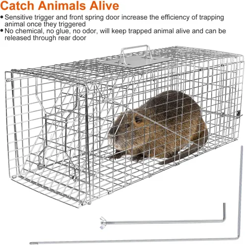 Miniatura 7 de Trampa de jaula de animales vivos de 31 pulgadas, trampa plegable resistente para gatos callejeros, mapaches, ardillas, zorrillos, marmotas, topos