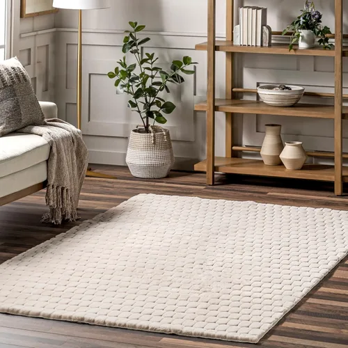 Nuloom Nia Beige, 3 pies 9 pulgadas x 6 pies, pelo acogedor, esponjoso y suave, alto tráfico, resistente a las manchas, fácil de limpiar, duradero,