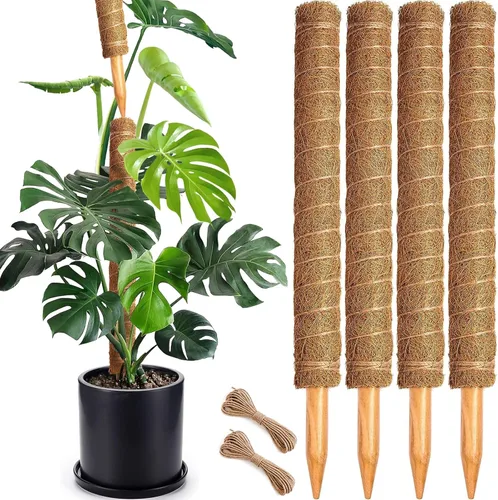 Miniatura 15 de Poste de musgo de 48 pulgadas, poste de musgo flexible para plantas Monstera, postes de musgo altos para plantas trepadoras de interiores, soporte