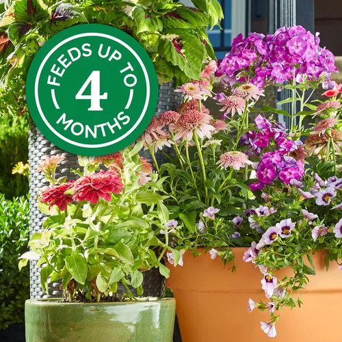 Miniatura 5 de Osmocote Smart-Release - Alimento para plantas con flores y verduras, 1 libra