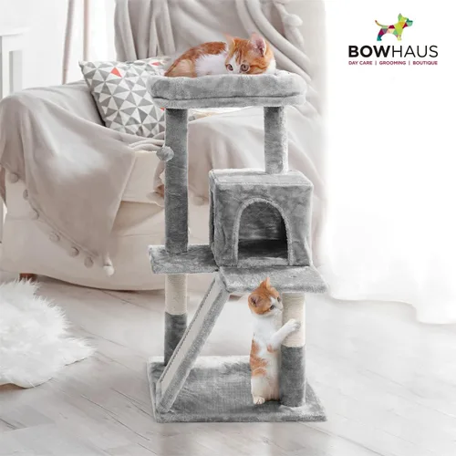Miniatura 7 de BOWHAUS Árbol alto para gatos grandes o gatitos de interior, árbol de actividades para gatos de varios niveles con postes rascadores, hamaca