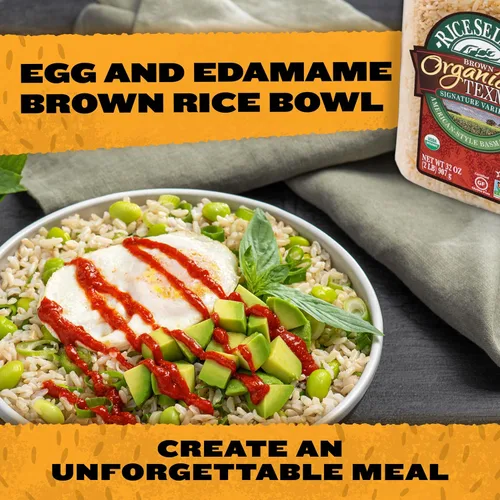 Miniatura 4 de RiceSelect Arroz integral Texmati orgánico, grano largo, grano entero, sin gluten, sin OMG, 32 onzas (paquete de 1 frasco)