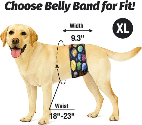 Miniatura 4 de Pet Soft Bandas para el vientre para perros, pañales lavables para perros machos, reutilizables, paquete de 3 unidades para cachorros