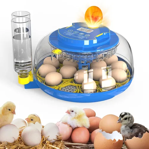 Incubadora panorámica de huevos de 18 huevos de 360° con giro automático de huevos y control de humedad, perfecta para incubar pollos, patos,