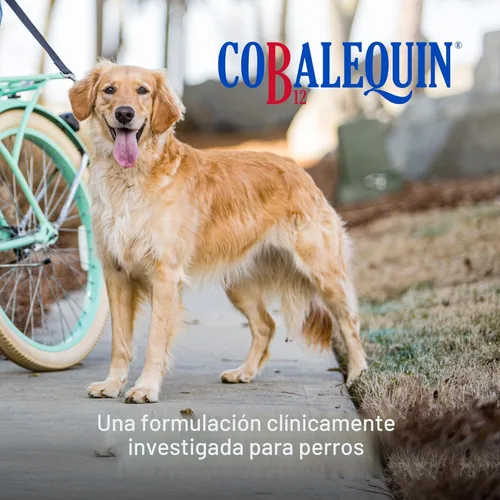 Miniatura 2 de Nutramax Laboratories Suplemento Cobalequin B12 para perros medianos a grandes, 45 tabletas masticables, pollo hidrolizado, 2.08 onzas