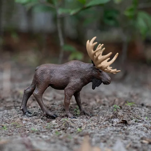 Miniatura 4 de Safari Ltd. Figura de alce – Figura de animal realista de 5 pulgadas – Juguete educativo para niños, niñas y niños a partir de 1 año