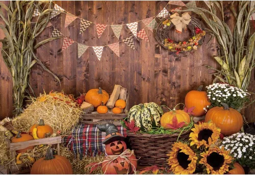 Laeacco Telón de fondo de calabaza de otoño de 5 x 3 pies para otoño, cosecha, granero, fotografía, fondo de madera, guirnalda de girasoles para
