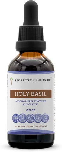 Secrets of the Tribe Tintura de albahaca sagrada Extracto sin alcohol, suplemento de tintura de hierbas secas de albahaca sagrada (Ocimum