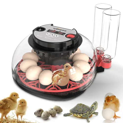 incubadoras para incubar huevos,12 Incubadora de huevos,Incubadora de huevos con giro automático de huevos y control de humedad,Incubadora para