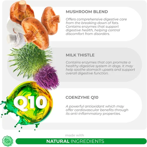 Miniatura 4 de Hongo de cola de pavo para perros masticables suaves - Bultos, protuberancias e inmunidad Mezcla de hongos con selenio, vitaminas, cardo mariano