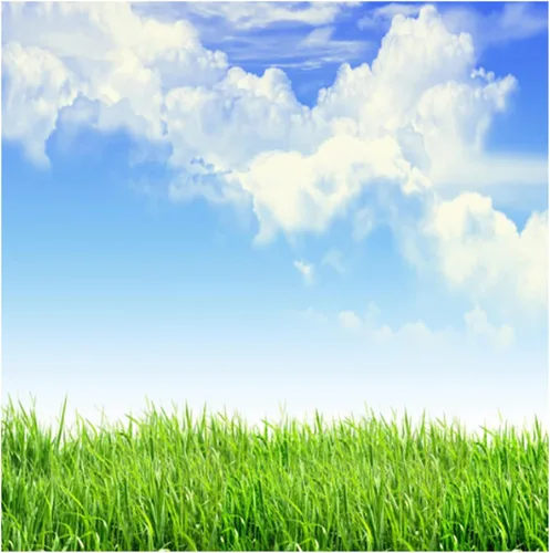 Miniatura 4 de Leyiyi Fondo de fotografía de pastizales de primavera de 4 x 4 pies, planta de jardinería, prado, cielo, nube, punto de luz, pradera del norte
