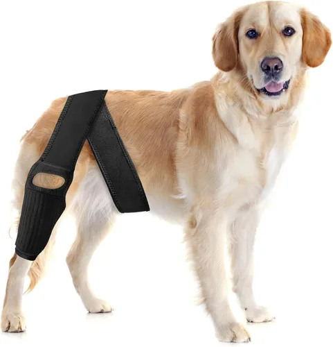 Rodillera para perro para desgarro del ligamento cruzado anterior, soporte elástico, estabilizador de compresión ajustable, neopreno transpirable,