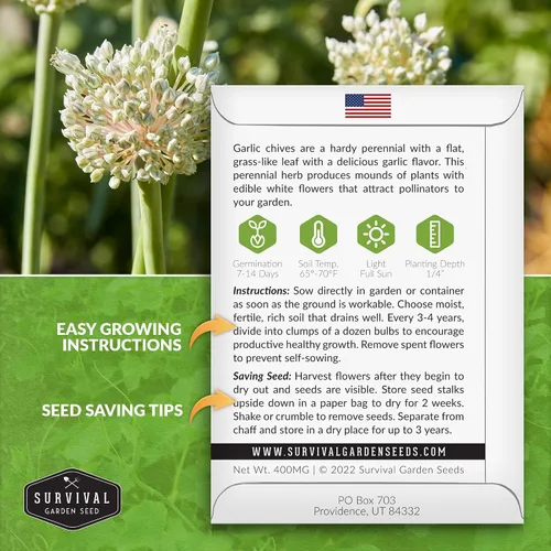 Miniatura 2 de 5 paquetes de semillas de cebollino de ajo para plantar, paquete con instrucciones para cultivar deliciosas hierbas perennes en el huerto de tu