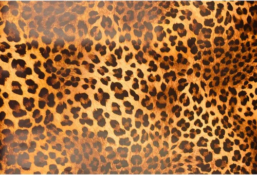 Rollo de papel tapiz con estampado de leopardo de 14.7 pies, vinilo para despegar y pegar, papel de renovación de muebles, papel extraíble para