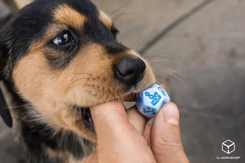 Miniatura 2 de Juego de dados para perros Max de Q-Workshop