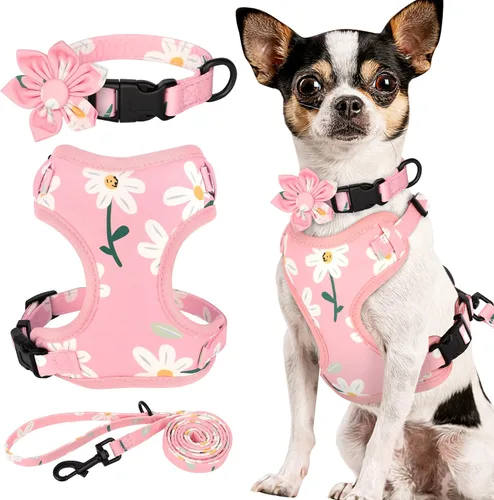 Miniatura 17 de Beirui Collares, arneses y correas lindos para perritas, conjunto - Collar y correa ajustable para perros con flores - Arnés de malla suave