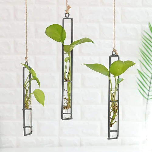 Miniatura 5 de Maceta hidropónica de vidrio colgante, 3 piezas, tubo de ensayo transparente, florero, contenedor de terrario para interiores y exteriores