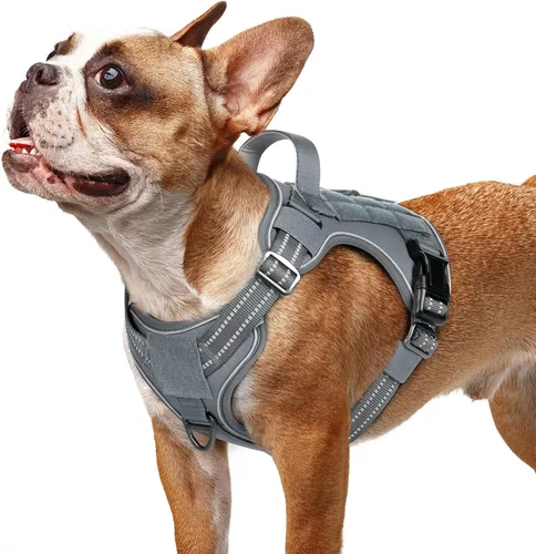Miniatura 34 de rabbitgoo - Arnés para perros pequeño sin tirones, chaleco táctico de servicio con Molle y asa de control, arnés militar ajustable y reflectante