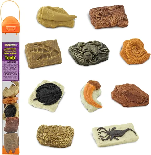 Safari Ltd. Fósiles antiguos TOOB - Figurillas: huella de dinosaurio, cangrejo gigante, amonita, garra de raptor, diente de T-Rex, esqueleto de