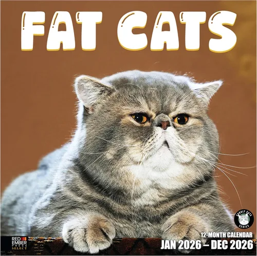 Miniatura 17 de RED EMBER Select - Calendario de pared de gatitos 2026 de 12 meses 12 x 24 pulgadas abierto papel grueso y resistente regalo de vacaciones