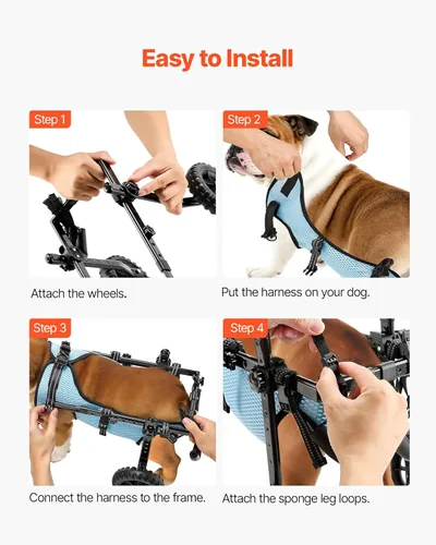Miniatura 8 de VEVOR Silla de ruedas para perros para patas traseras, silla de ruedas ligera de 2 ruedas para mascotas, altura, ancho y longitud ajustable, carrito