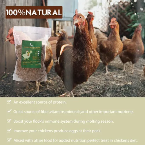 Miniatura 5 de Gusanos de harina secos sin OMG, 11 libras, 100% natural, tamaño grande, sin humedad, golosinas para pájaros, pollos, erizo, hámster, pez, tortugas