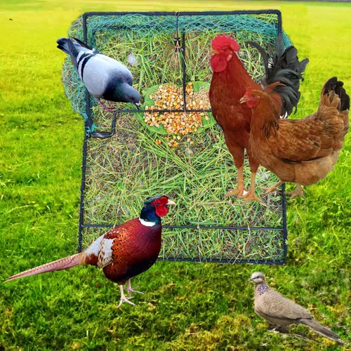 Miniatura 4 de Trampa para Aves Codorniz Paloma Control de Animales Vivos Primavera Aprisionamiento de Estorninos y Pollos