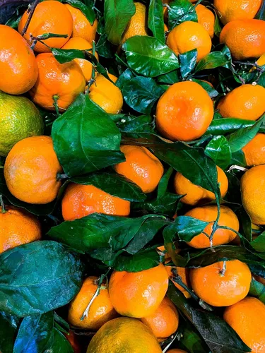 Miniatura 5 de Mandarina fresca Satsuma de California (2.5)