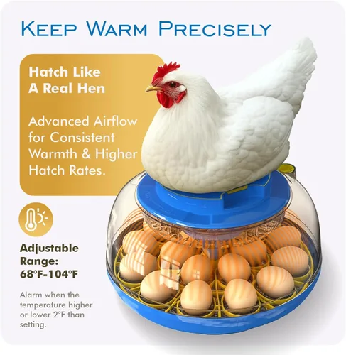 Miniatura 7 de OtterVerz 11 Incubadoras de huevos para incubar 18-36 huevos de pollo, codorniz/pavo, incubadora de aves de corral con visión de 360° con giro