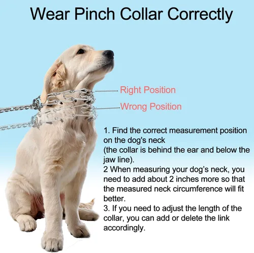 Miniatura 6 de Darkyazi Collar duradero de acero inoxidable ajustable para entrenamiento de mascotas para perros medianos y grandes (pequeño (paquete de 2)