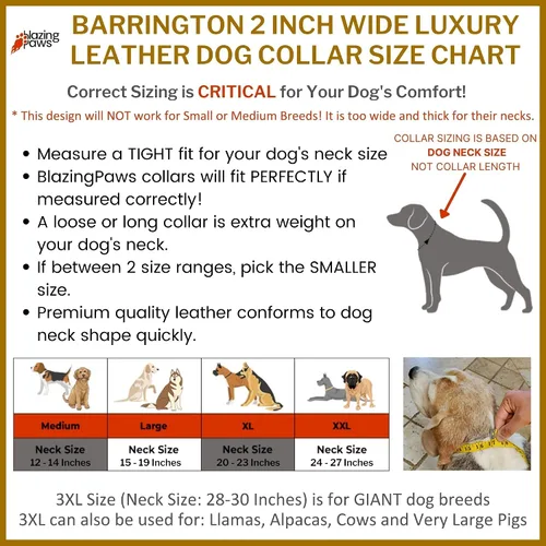 Miniatura 6 de Blazing Paws Barrington - Collar de perro de cuero rojo cristal de lujo de 2 pulgadas para perros grandes, hecho a mano, grueso, fuerte