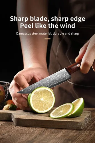 Miniatura 3 de Cuchillo de pelar de acero Damasco de 4.7 pulgadas, cuchillo de pelar de cocina forjado de 67 capas con mango de madera maciza natural, cuchillos