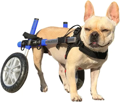 Walkin' Wheels Silla de ruedas para perros pequeños, silla de ruedas ligera para patas traseras, 15-25 libras, para altura de pierna de 9-11 Azul