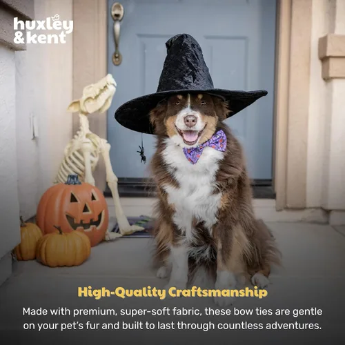 Miniatura 7 de Huxley & Kent Pajarita para mascotas para perros y gatos – Accesorio ajustable para collar de gancho y bucle de Halloween – Lindo y cómodo