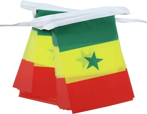 Miniatura 246 de AZ FLAG Señal marítima internacional 42.7 ft BUNTING Flag 40 banderas 9'' x 6'' - Banderas de cuerda del alfabeto náutico 5.9 x 8.3 in