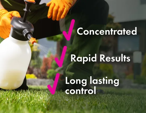 Miniatura 5 de Pro Crabgrass & Grassy Weed Killer - 18.92% Quinclorac (comparado con Drive XLR8) - Herbicida concentrado de pasto cangrejo profesional - Secado